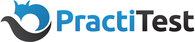 PractiTest Brand Logo
